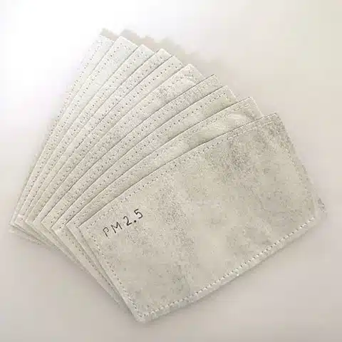 Filtre à charbon PM2.5 lot de 10